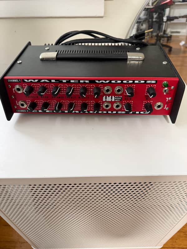Walter Woods Electracoustic MI200-8 Stereo Bass Head 350-Watts Green Lamp image 1