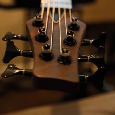 Kiesel Claro Walnut Icon 6 with Aguilar DCB Pickups image 13