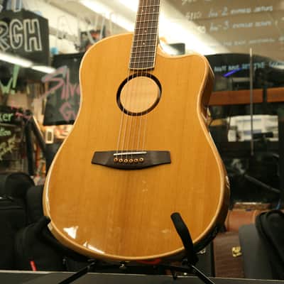 LR Baggs AEG-1 Torrefied Sitka Spruce Dreadnought Acoustic-Electric Guitar image 2