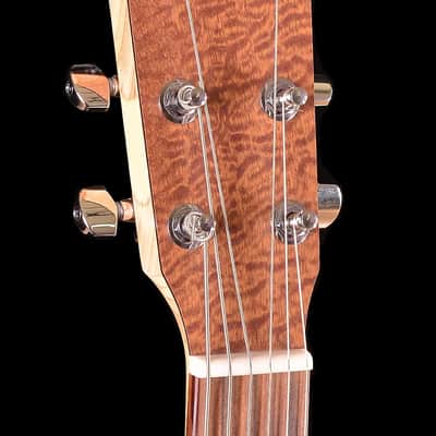 Martin Custom X DX1 Java Mahogany 2009 image 4