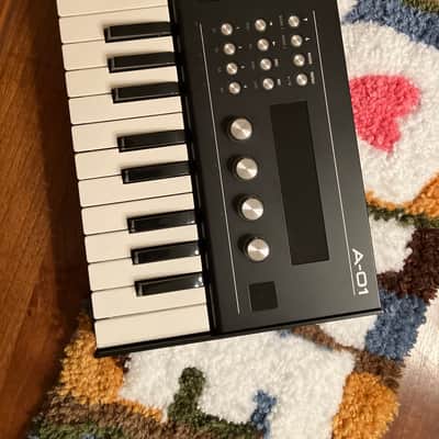 Roland A-01 Synth Bild 4
