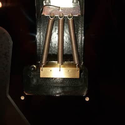 PRS SE Floyd Custom 24 - includes Schaller Lockmeister Upgrade image 13