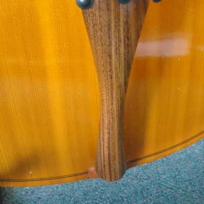Engelhardt Model 110 4/4 Cello with Gig Bag image 7