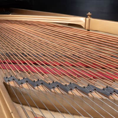 Steinway And Sons B Piano 1905 - Mahogany image 17