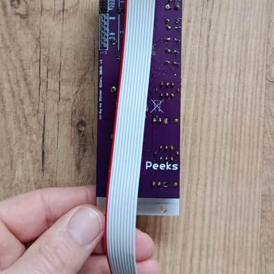 Mutable Instruments Peaks clone with factory panel image 2