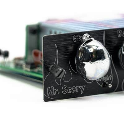 Randall MTS Signature Series Module – George Lynch “Mr. Scary” (w/ Original Box) image 2