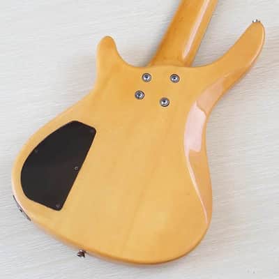 Custom 5 String Electric Bass, 24 Frets Fingerboard image 4