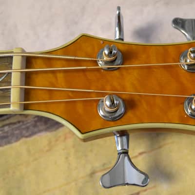Michael Kelly Dragonfly 4FL Fretless Acoustic Bass image 5