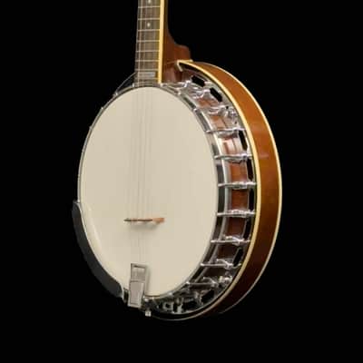 Epiphone MB-100 5 String Resonator Banjo, Hard Case image 5