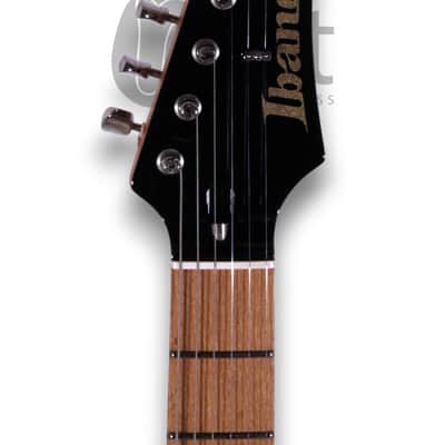 Ibanez FLATV1-BK image 4
