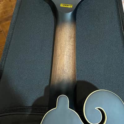 Gold Tone Manditar Mandolin F6  Satin Fast Shipping Acoustic/ Electric image 5