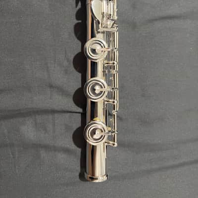 TREVOR JAMES - FLUTE TREVOR JAMES PRIVILEGE 31PFRSLR image 3