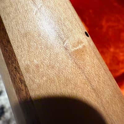 Fender American Deluxe Telecaster with Maple Fretboard 2005 image 16