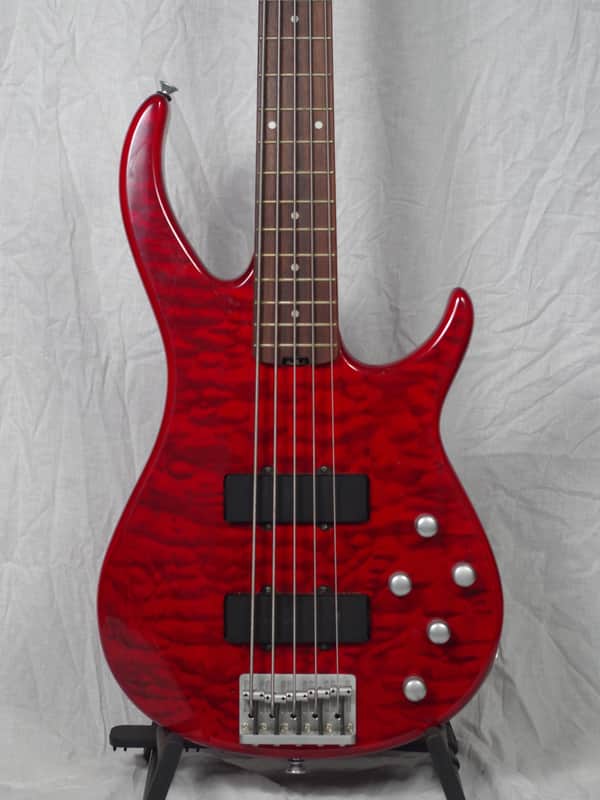 Peavey Fury 5 String Bass image 1