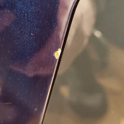 Robin Avalon Custom Flamed Dark Blue w/ OHSC image 24