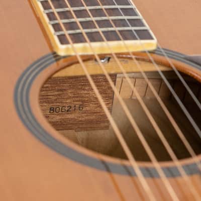 Daion MUGEN Mark III - Six String Acoustic image 24