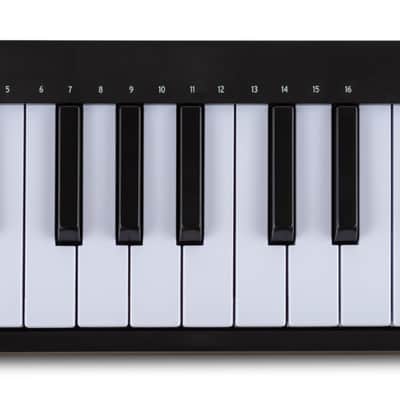 Arturia MICROLAB MK3 Black 25-Key MIDI USB Keyboard Controller+Pro Software