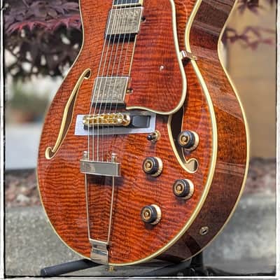 Ibanez AG95MG-DA Dark Amber image 4