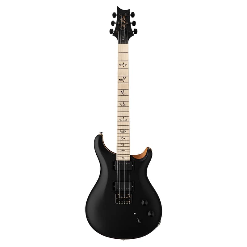 PRS Limited Edition Dustie Waring Signature DW CE 24 Hardtail image 6