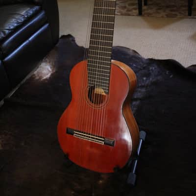 Darren Hippner 13-string Concert Classical 2011 image 1