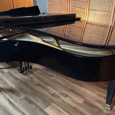 Schimmel Model 208 Limited Edition 89/250 1988 - Ebony Polish imagen 10