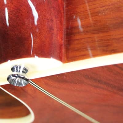 Alvarez AF60CK Acoustic Electric With Hardcase image 12