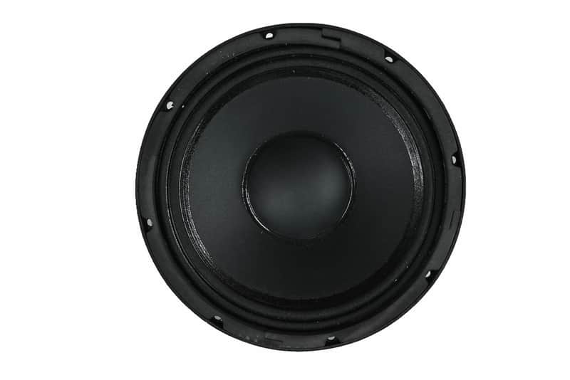 GrundAudio Hi power 10 Inch speaker image 1