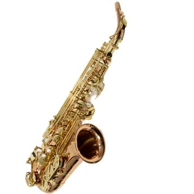 Yanagisawa Model AWO2 Bronze Professional Alto Saxophone MINT CONDITION image 18
