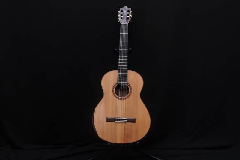 Jeroen Hilhorst Guitar No. 50 2003 - French Polish image 1