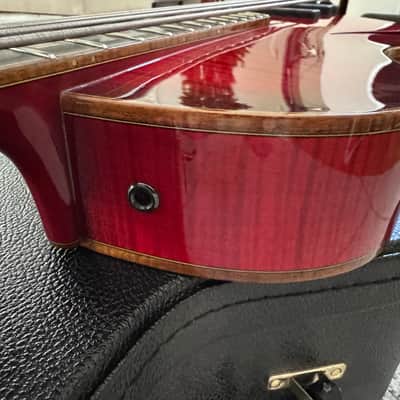 5 String Bass - Jazz Archtop - Semi Acoustic - Master Luthier image 22