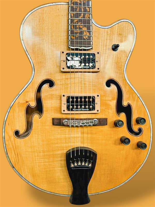 Blueberry Handmade Hollow Body Electric Guitar Rapunzel Motif image 1