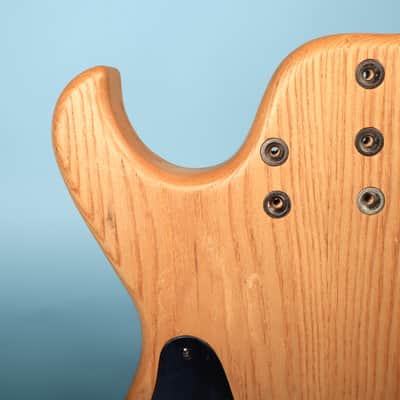 The Bass Company (TBC) AP500M 5 String Bass Body image 21