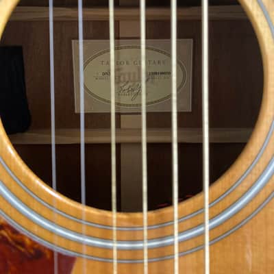Taylor DN-3 2010 - Natural image 7