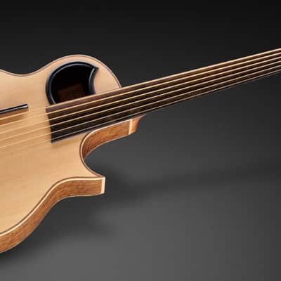 Warwick 1376909001CFOVSMWW Alien 6-String Fretless Acoustic Bass Guitar w/Hey Key Tools & Cloth image 1