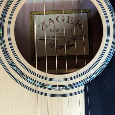 Zager EZ play acoustic guitar image 4