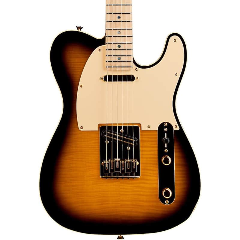 Fender Telecaster Richie Kotzen Solidbody Electric Guitar Regular Brown Sunburst image 1