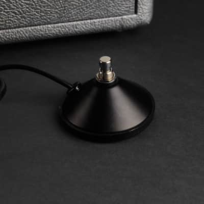 Lance Amplification Pip Reverb 5 (New) image 11