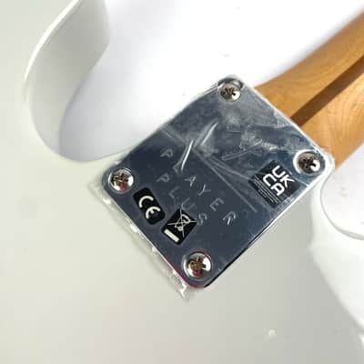 Fender Player Plus Telecaster with Pau Ferro Fretboard - Silver Smoke image 10