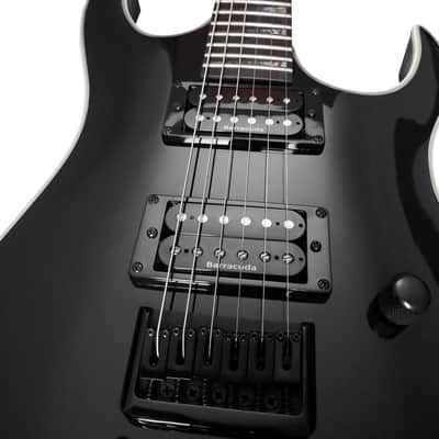 Palm Bay Guitars - Avalanche AXX2 in Black + case image 2