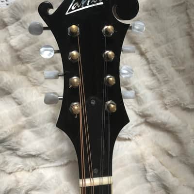 Larrivee F-33 Mandolin Sunburst image 3