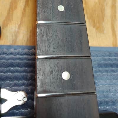 ESP George Lynch Sunburst Tiger image 9