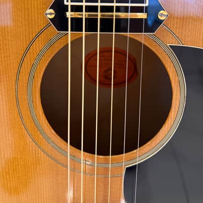 Gibson J-190 EC Super Fusion image 8