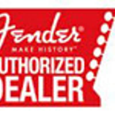Fender Nylon Picks - 1.0mm - 12 Pack image 2