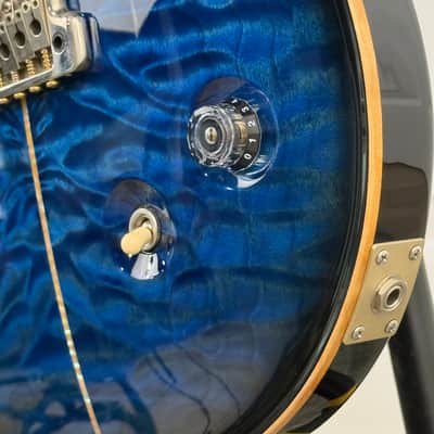 PRS 25th Anniversary Santana Signature 10-Top 2010 Near MINT! image 7