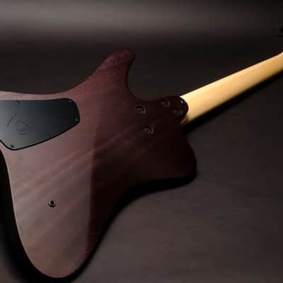 Dingwall D-Roc Custom 5 2025 - Trans Black Burst image 3