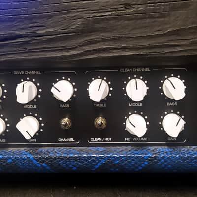 ARYST Dumble style all tube guitar amplifier image 2
