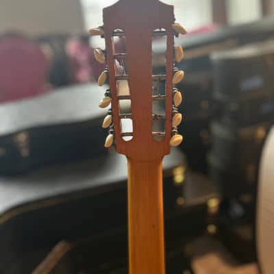 Blue Hawk 12-String Acoustic Guitar Made in W. Germany with Hard Case image 9
