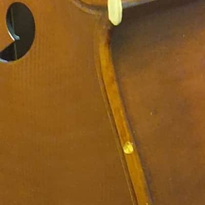Black Mountain Strings C1000 1/4 Cello serial 453629 2013 - Natural image 6