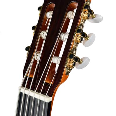 6 String Contrabass Guitar (Octave Bass) - Esteve PS75 - All Solid Wood/Cedar/Indian Rosewood - 750mm Scale Length image 5