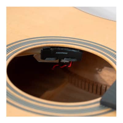 Gold Tone The Dread Acoustic-Electric All Solid Wood Guitar with Bag (Satin Natural) image 6
